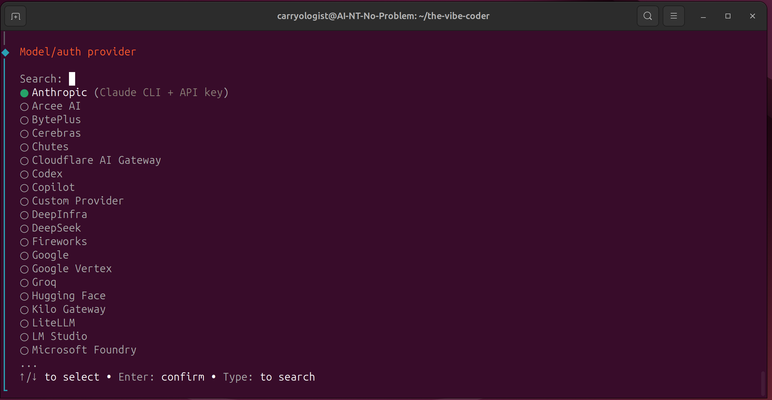 OpenClaw wizard showing the model/auth provider selection screen